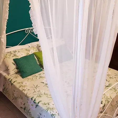 Amanda's Dream * Tarente