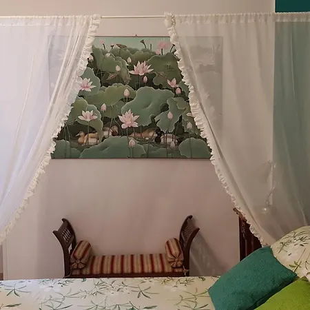 Amanda's Dream * Tarente